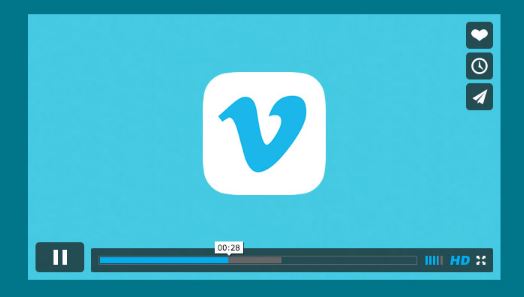 Use a Video Downloader to Save Educational Videos for Offline Viewing